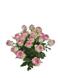 Bouquet_de_20_ro_4ed1f5d876e3f.jpg