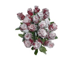 Bouquet_de_20_ro_4ed1f5d876e3f.jpg