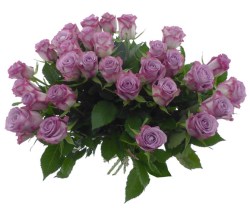 Bouquet_de_30_ro_4ed1f6a34ec76.jpg