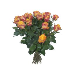 Bouquet_de_20_ro_4ed1f5d876e3f.jpg